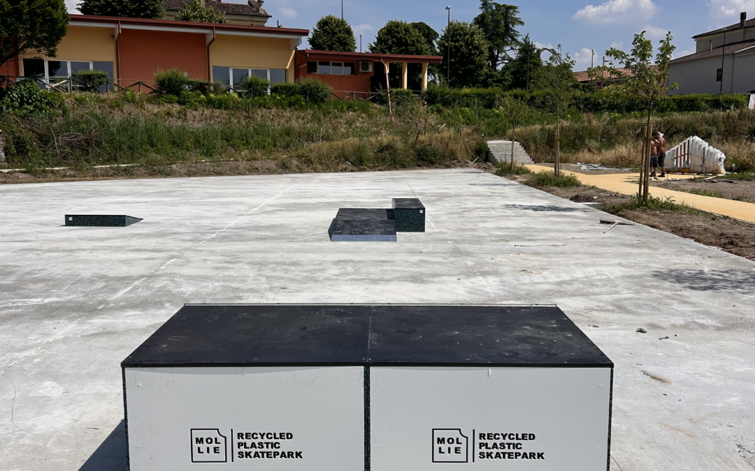 Mollie Skate Park | Arcole – Centro Culturale Giovanni d’Arcole 📚